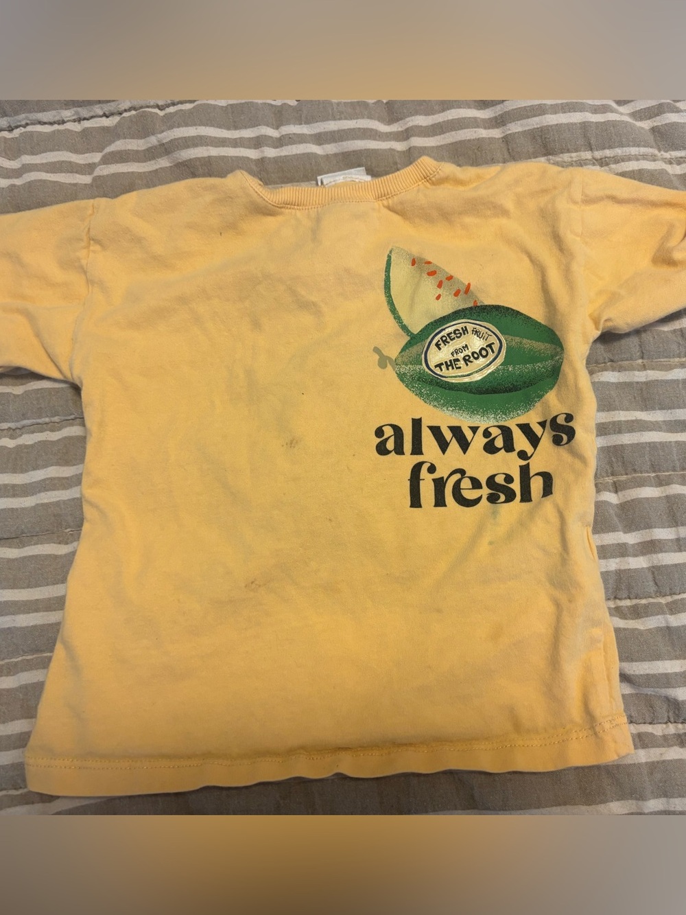 Shirt toddler Zara melon